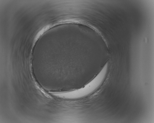 X0000077291373200610271513