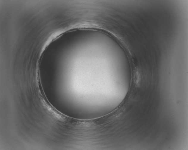 X0000077291374200610271513