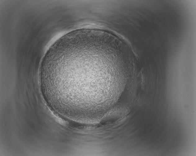 X0000077291375200610271513