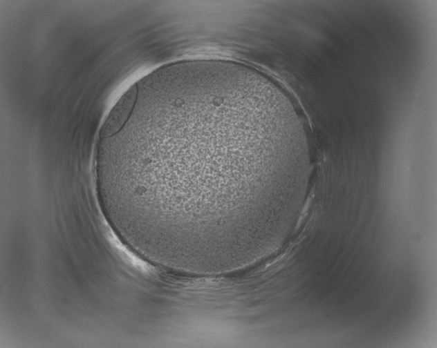 X0000077291387200610271513