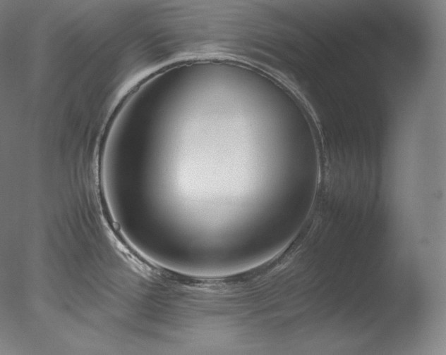 X0000077291388200610271513