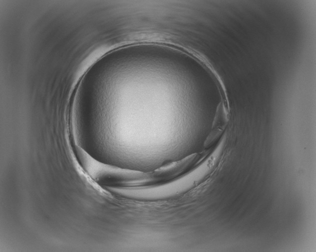 X0000077291389200610271513