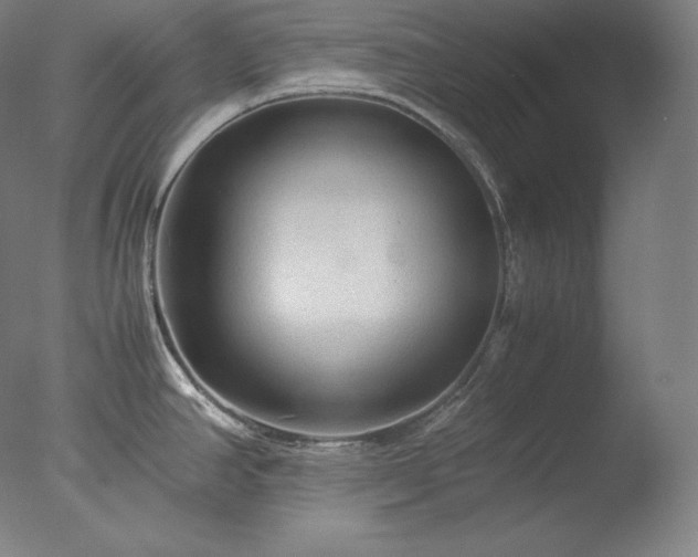 X0000077291390200610271513