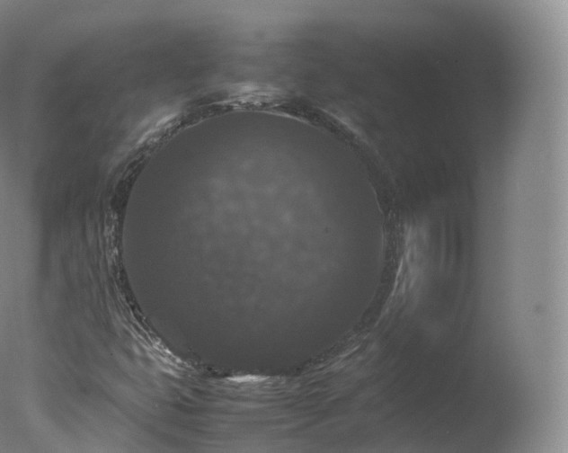 X0000077291399200610271512