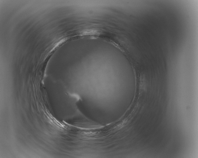 X0000077291401200610271512