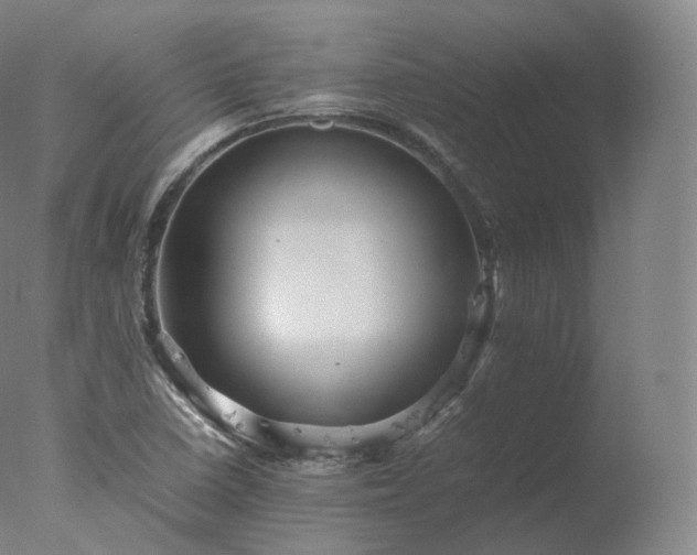 X0000077291410200610271512