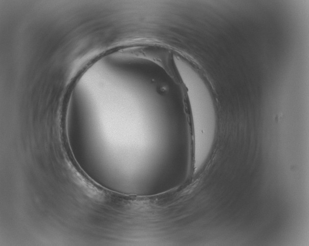 X0000077291422200610271513