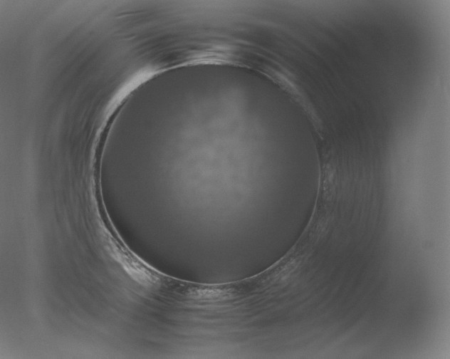 X0000077291427200610271513