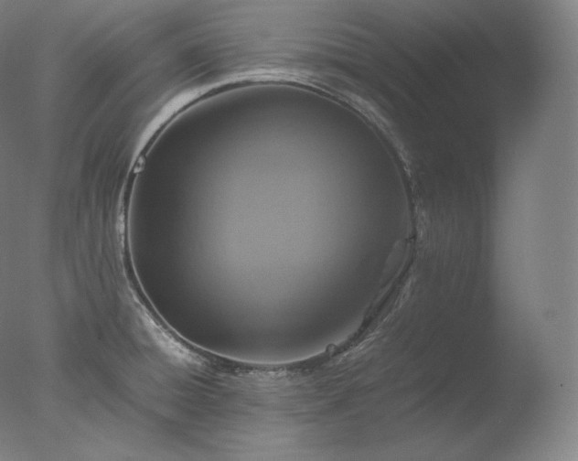 X0000077291428200610271513