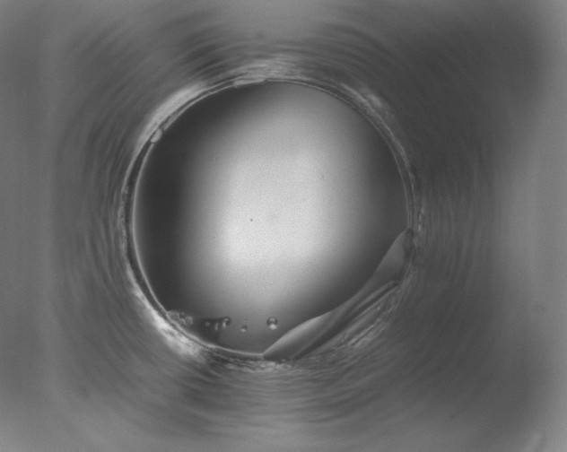 X0000077291434200610271513