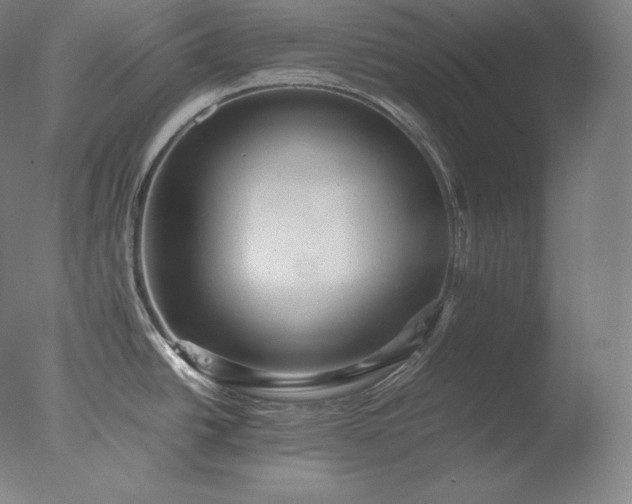 X0000077291438200610271513