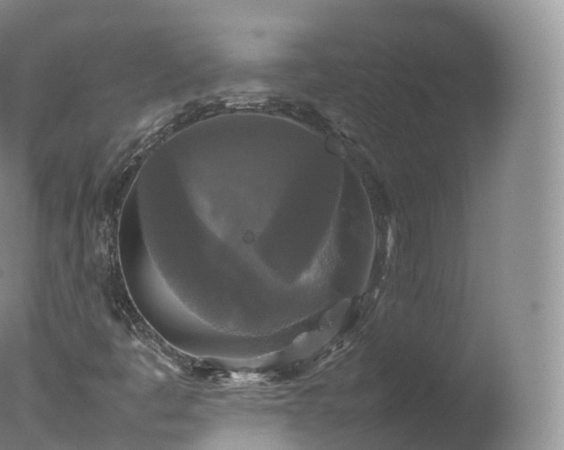 X0000077291445200610271512