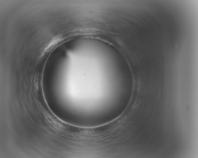 X0000077291451200610271512