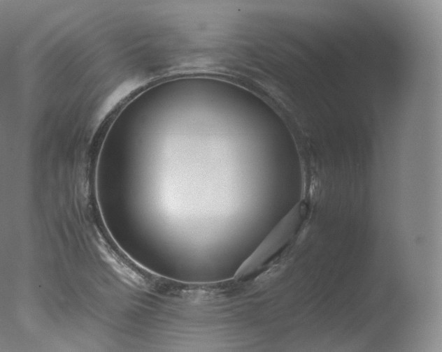 X0000077291458200610271512