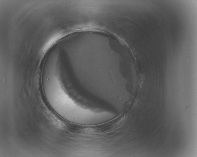 X0000077291463200610271512