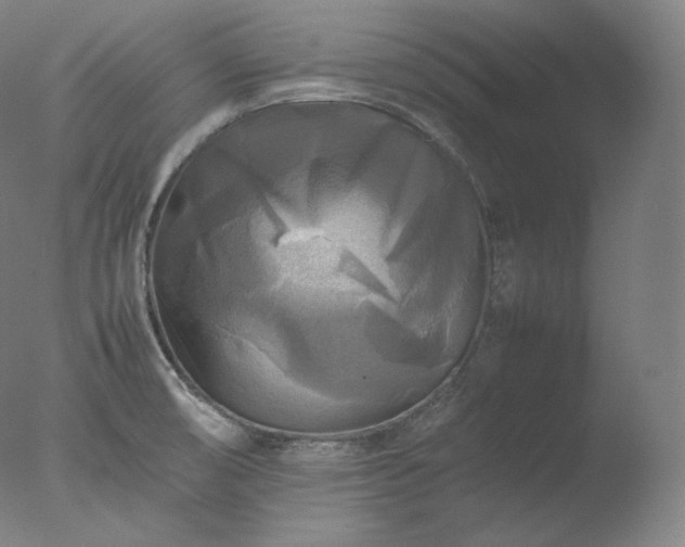X0000077291474200610271511