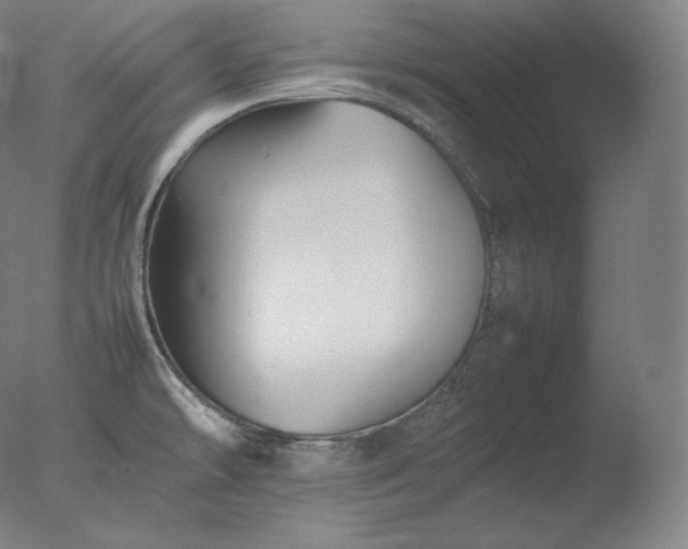 X0000077291478200610271511