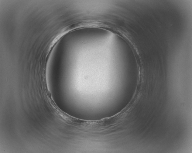 X0000077291481200610271511