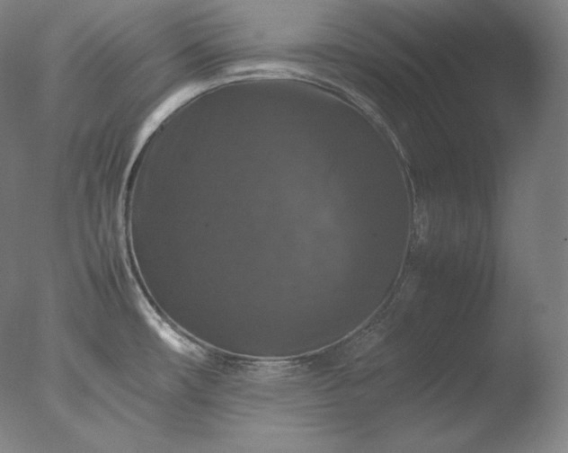 X0000077291482200610271511