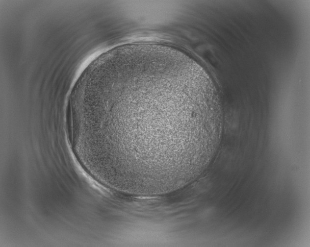 X0000077291483200610271511