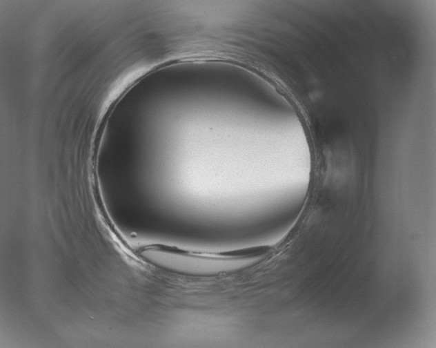 X0000077291485200610271511