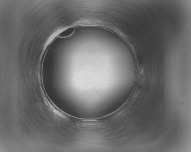X0000077291486200610271511