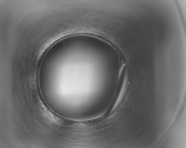 X0000077291500200610271511