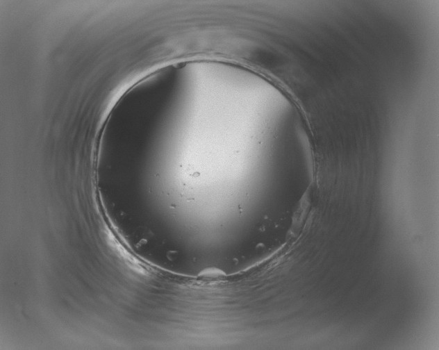 X0000077291532200610271511