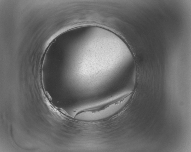 X0000077291534200610271511