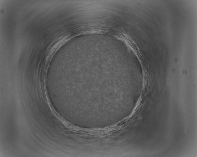 X0000077290001200611031602