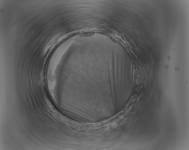 X0000077290002200611031602