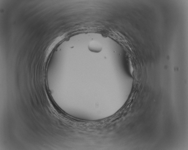 X0000077290003200611031602