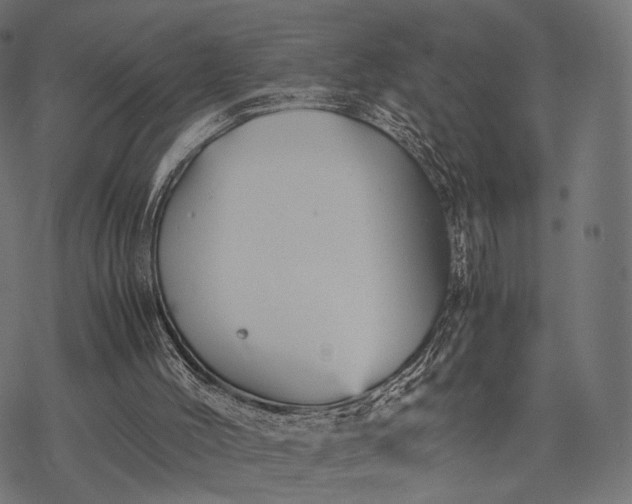 X0000077290004200611031602