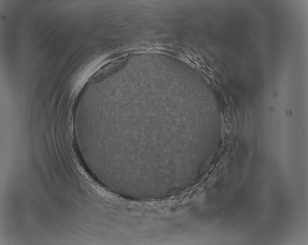 X0000077290005200611031602