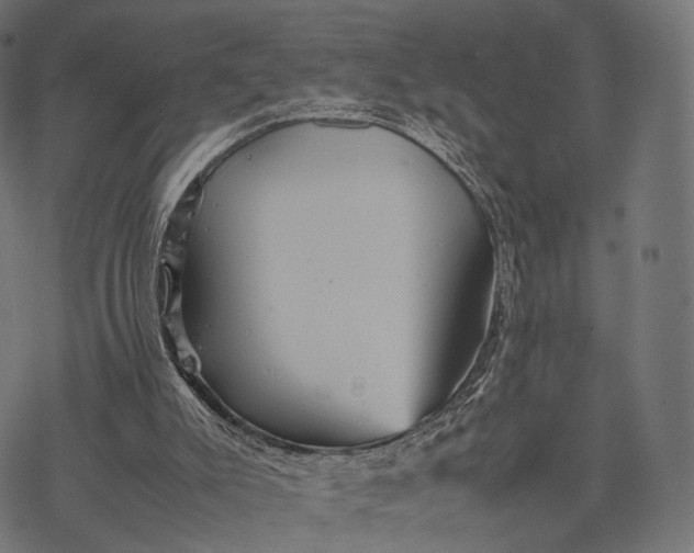 X0000077290007200611031602