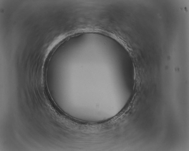 X0000077290008200611031602