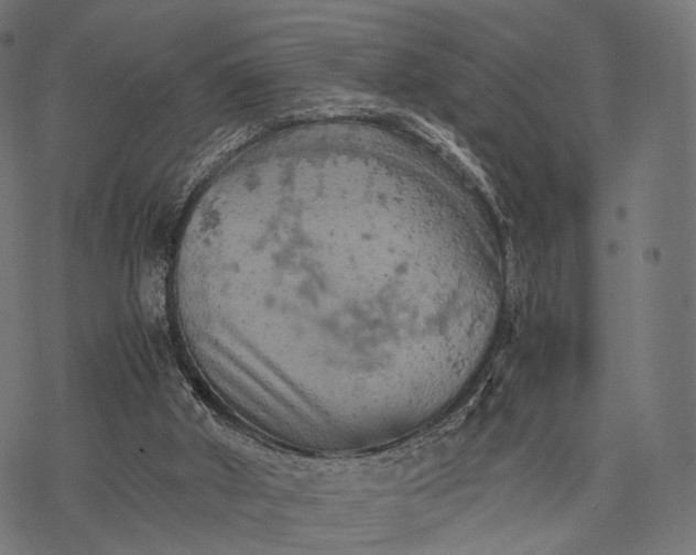 X0000077290010200611031602