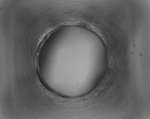 X0000077290011200611031602