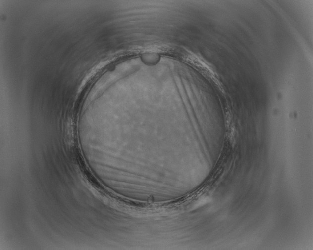 X0000077290012200611031602