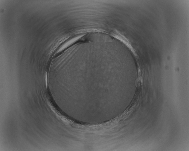 X0000077290013200611031602