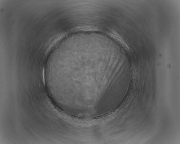 X0000077290014200611031602