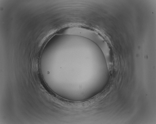 X0000077290015200611031602