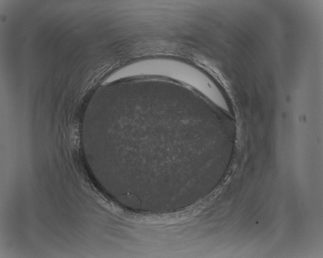 X0000077290017200611031602