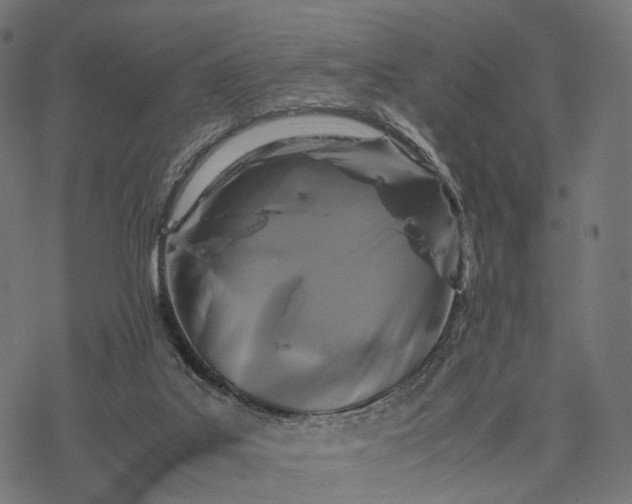 X0000077290019200611031602