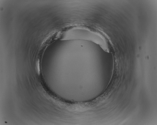 X0000077290020200611031601