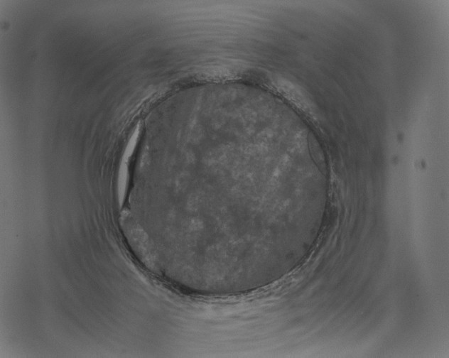 X0000077290021200611031601