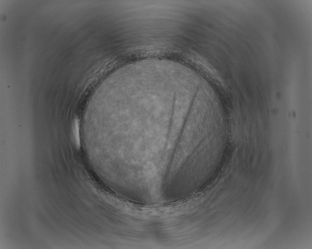 X0000077290022200611031601