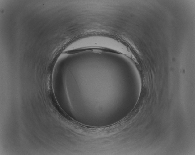 X0000077290023200611031601