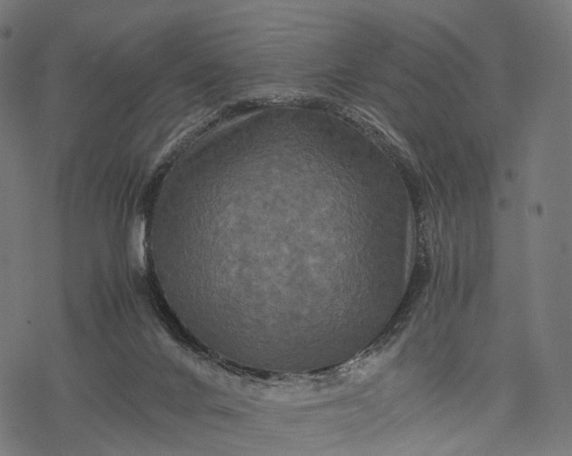 X0000077290024200611031601