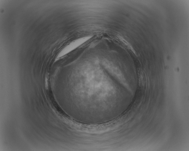 X0000077290026200611031601